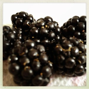blackberries